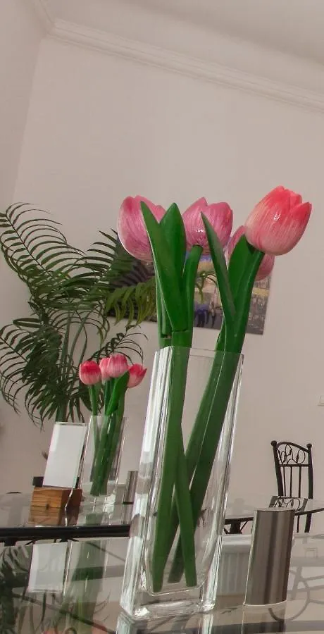 *** Bed & Breakfast Butterfly Home Danube Budapest Ungheria
